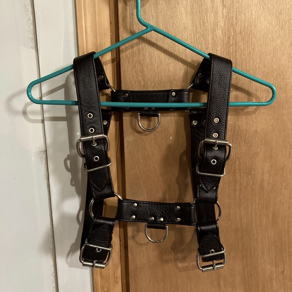 Men’s Leather Harness